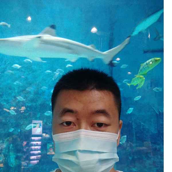 河北34岁单身帅哥真诚找对象-许昌征婚相亲网